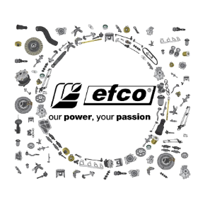 Picture for category Efco Spare Parts