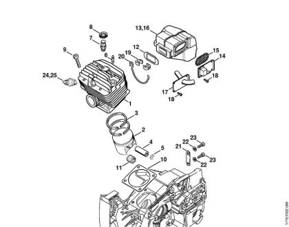 Cylinder, Muffler (09.2009) Gasoline chain saws (MS) MS 880-R Stihl
