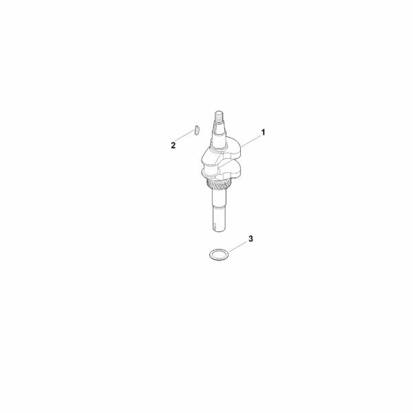 Picture of D - Crankshaft EVC 200.2 (EVC200-0003)