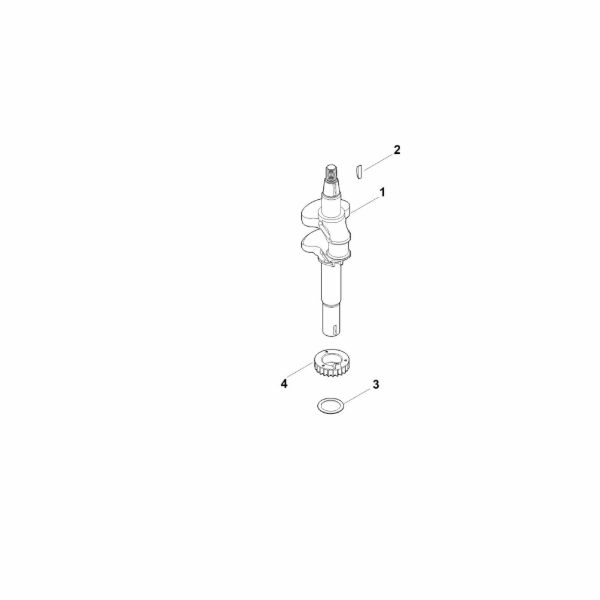 Picture of D - Crankshaft EVC 300.0 (EVC300-0001)