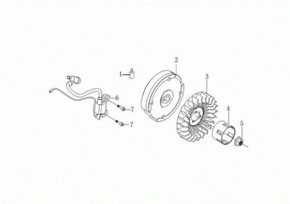 Flywheel and coil MH 175 RKS (K800 HT - EURO5) Rotary tiller